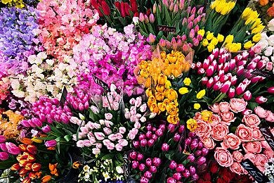 FTC要求微软提交更多文件 包含B社独占及任天堂合约细节