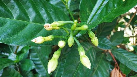 冠军之誓荣誉定制，雷蛇发布水神X EDG限定款电竞椅